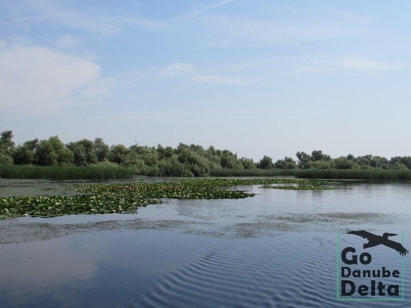 Excursie Delta Dunarii 4h (2)